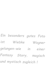 Ein besonders gutes Foto ist Wiebke Wagner gelungen-wie in einer Fantasy Story, magisch und mystisch zugleich !